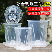水苔蝴蝶兰专用花盆透明青山盆控根透气热植兰花花盆塑料盆栽家用