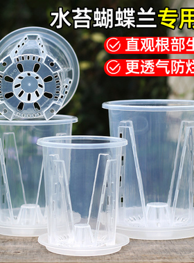水苔蝴蝶兰专用花盆透明青山盆控根透气热植兰花花盆塑料盆栽家用