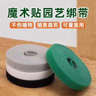 植物固定绑带园艺尼龙扎带月季爬藤龟背竹花卉捆绑扎线双面魔术贴