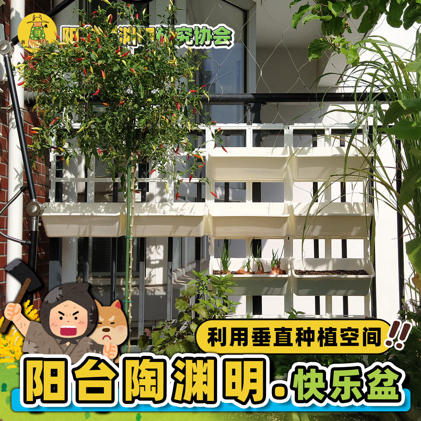 壁挂花盆阳台种菜神器省空间长条花盆栏杆挂盆架子多层汪淑芬同款