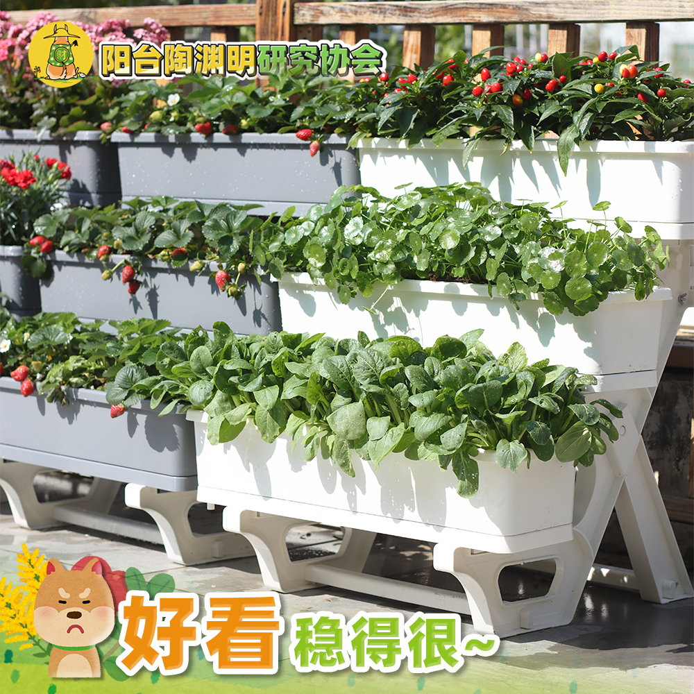 【阳台陶渊明】三层立体种植架