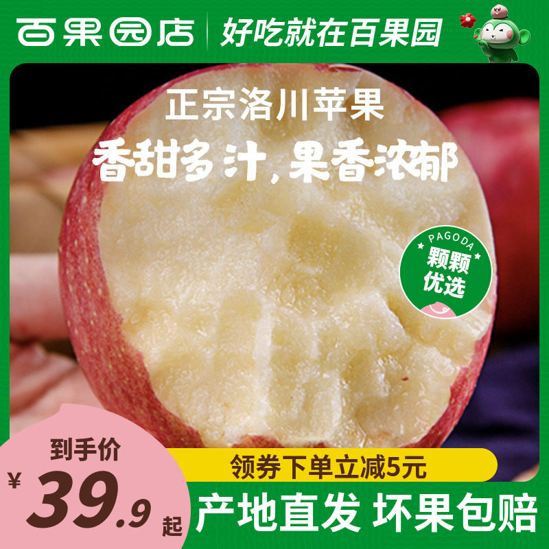 【百果园店】陕西洛川苹果红富士5/8.5斤整箱平安果当季新鲜水果