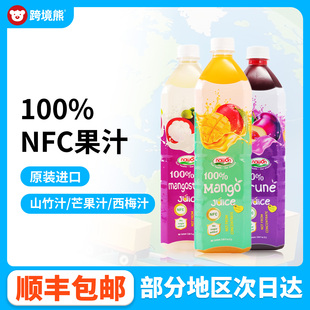 越南进口纳元100%NFC荔枝汁山竹汁蓝莓汁鲜榨果汁饮料1L家庭装