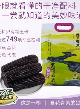 田里有草甜黑糯新鲜东北非转基因新鲜玉米真空袋装早餐代餐