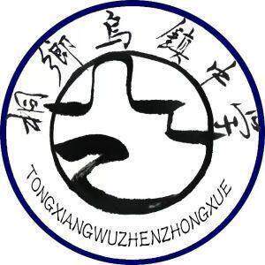 夏装校服 链接##乌镇中学 #