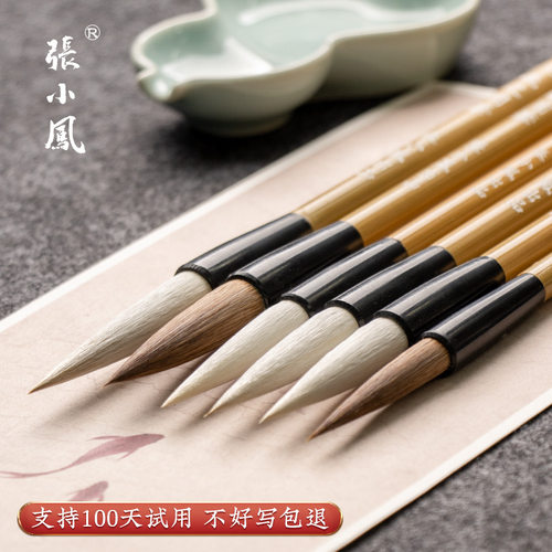 张小凤毛笔初学书法专用小学生练