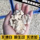500g 包邮 抽真空原味去衣核桃仁去皮核桃仁坚果仁酒店凉菜阿胶烘焙