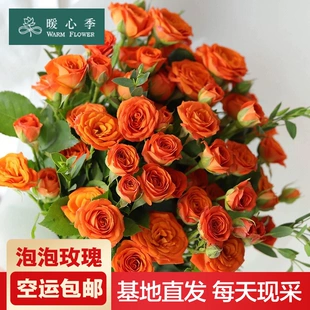 暖心季 多头泡泡玫瑰鲜花云南昆明基地直发家用水养插花空运10枝