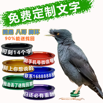 鹩哥脚扣牡丹免费刻字文鸟铝合金玉鸟鹦鹉鸟脚环环八玄凤开口闭口