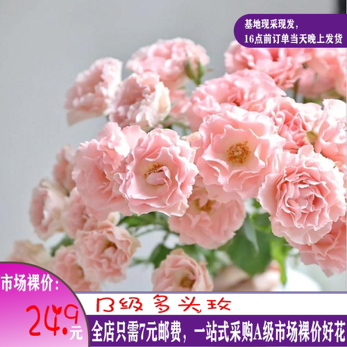B级鲜花多头玫瑰520昆明基地发货非风铃百合洋牡丹桔梗小菊康乃馨