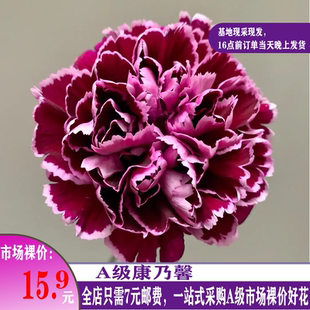 A级鲜花康乃馨母亲节昆明基地发货非绣球玫瑰桔梗小菊洋牡丹百合