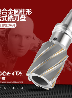 络伊塔镶合金圆柱形套式铣刀盘60-100焊接钨钢刃FMB螺旋立铣刀盘