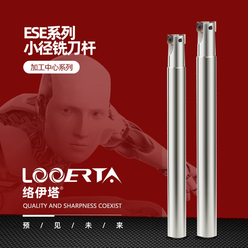 络伊塔SKD61小径抗震铣刀杆