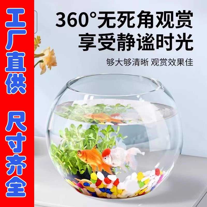 办公室小鱼缸加厚透明玻璃