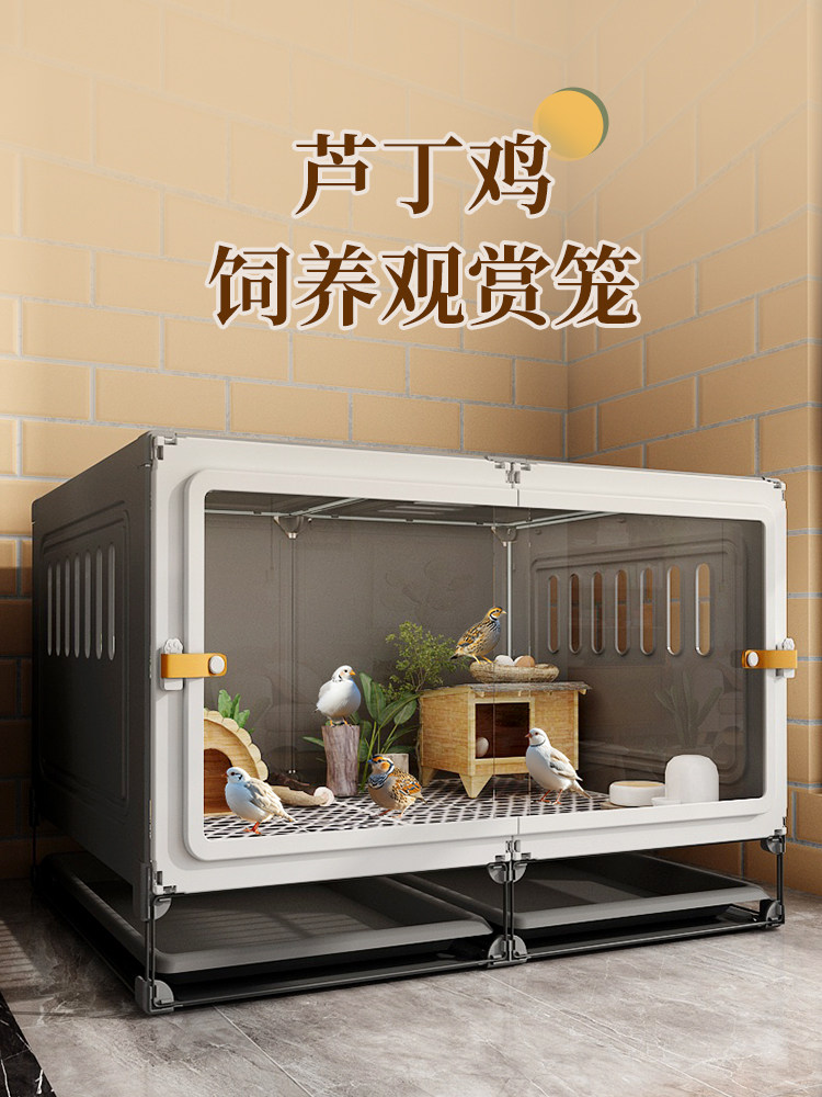 芦丁鸡饲养箱宠物专用笼家用室内大号方便清理小鸡柯尔鸭龙猫刺猬