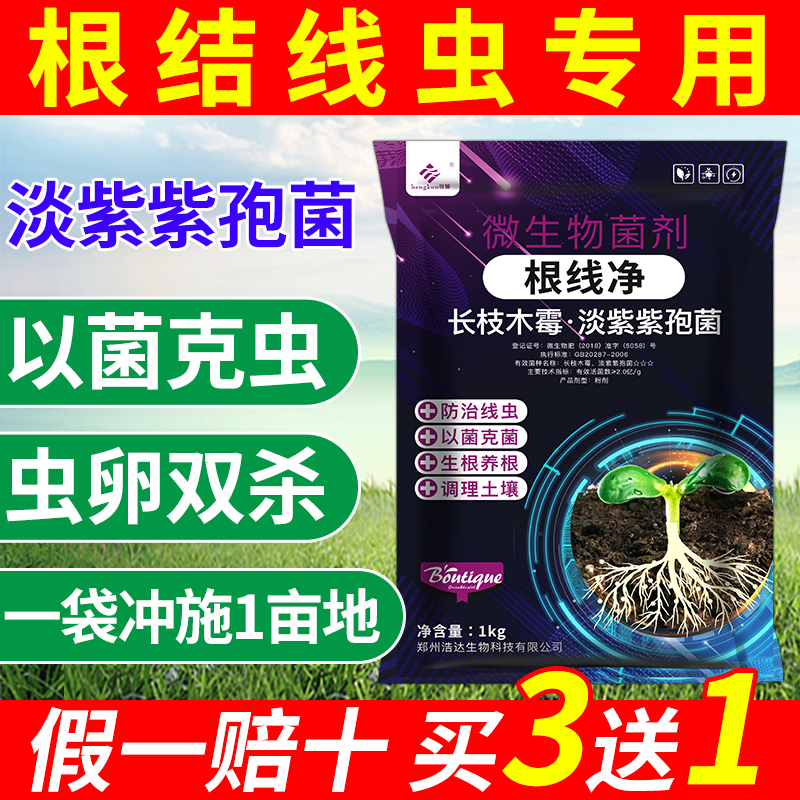 治根结线虫专用药淡紫紫孢菌根线清线虫克星淡紫拟青霉菌