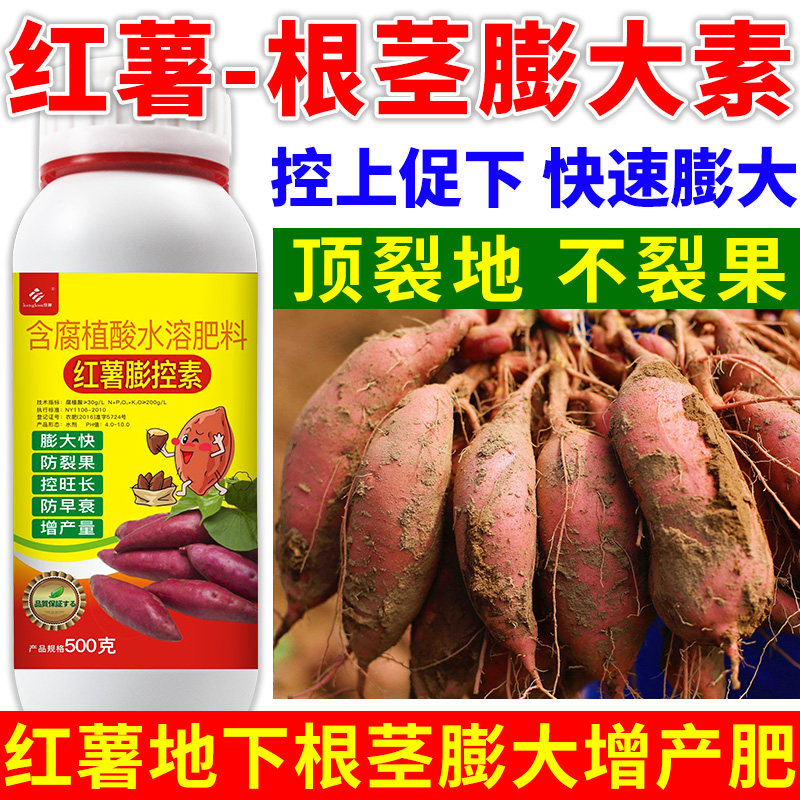 红薯专用地下根茎膨大素膨大剂地瓜马铃薯叶面肥种红薯肥料专用肥