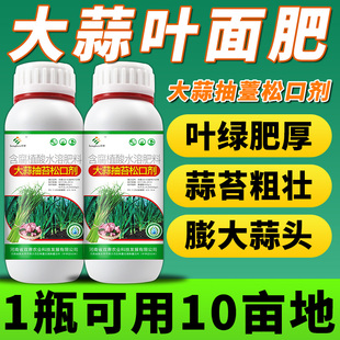 大蒜返青抽苔肥大蒜反青蒜头松口剂蒜苔抽苔剂增产专用水溶叶面肥