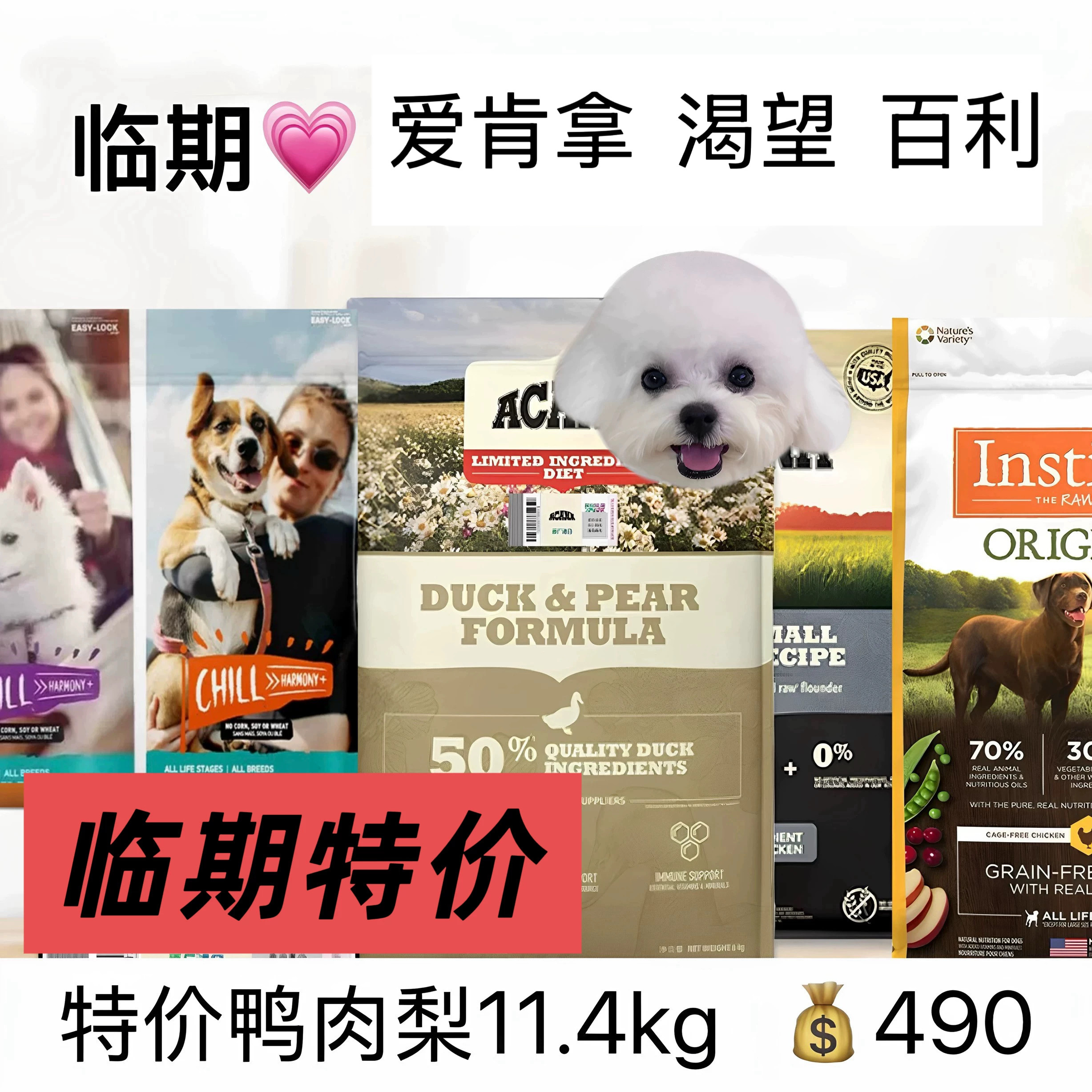 【临期】进口爱肯拿鸭肉梨犬粮福摩比利玛格枫趣狗粮渴望六种鱼