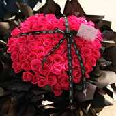 弗洛伊德玫瑰鲜花速递北京上海广州深圳重庆天津长沙武汉西安同城
