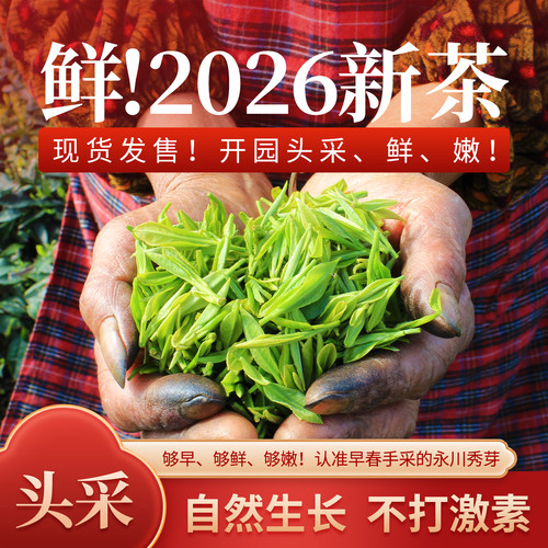 永川秀芽2026新茶现货当天发!