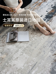 北柏逸土耳其进口地毯客厅2025新款可达豪华高档现代简约高档沙发