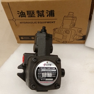 江苏叶片泵ELITE艾利特油泵液压