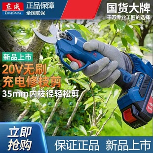东成电动剪刀果树修枝剪手持充电式园林锂电剪刀剪树枝DCYD35B/Z