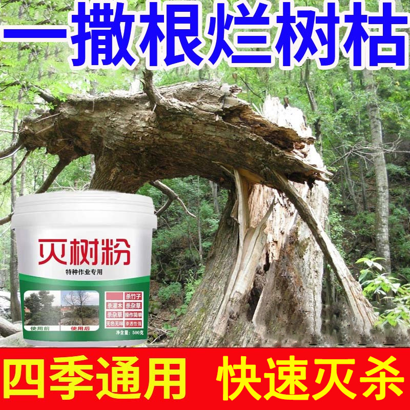 烂根除大树专用药强力腐树根灭树