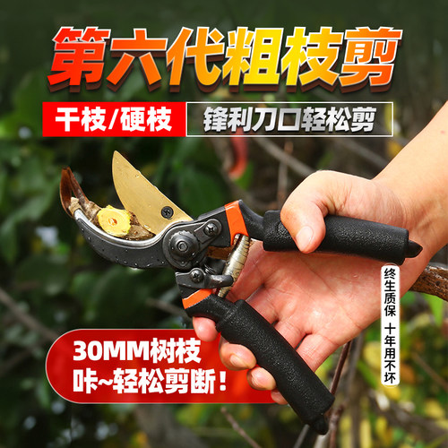 德国园艺剪树枝专用剪刀花木剪强力修粗枝剪果树剪花园林剪子家用