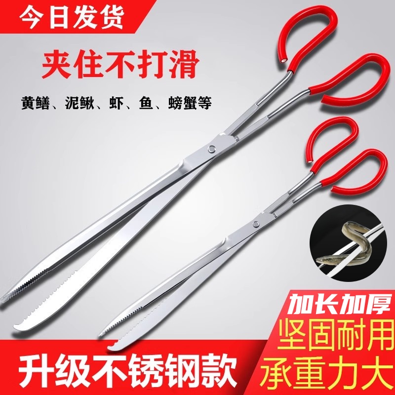 黄鳝夹子加长加厚不锈钢