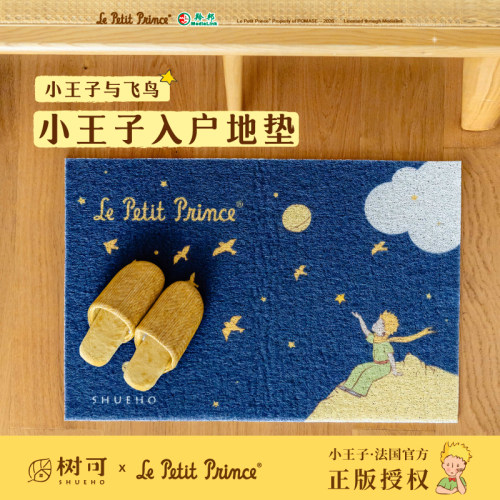 入户门地垫防滑蹭土耐脏