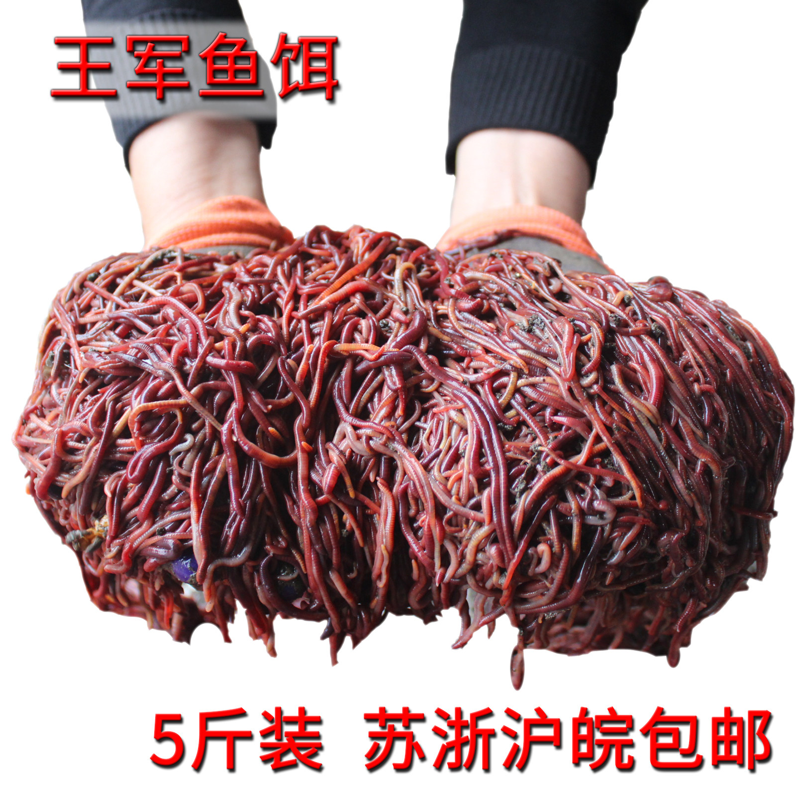 散装 鱼饵 蚯蚓 活体红蚯蚓 5斤 放生 王军鱼饵 江浙沪皖包邮