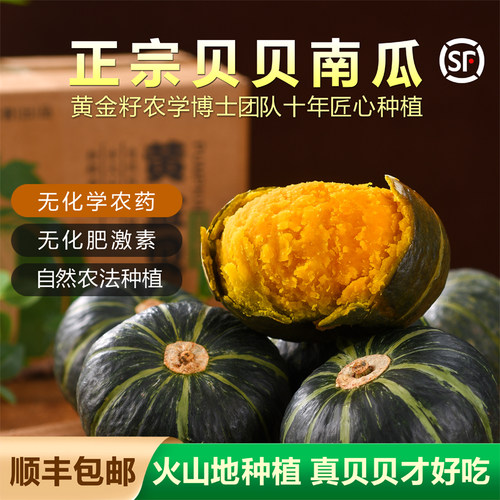 黄金籽真贝贝顺丰包邮