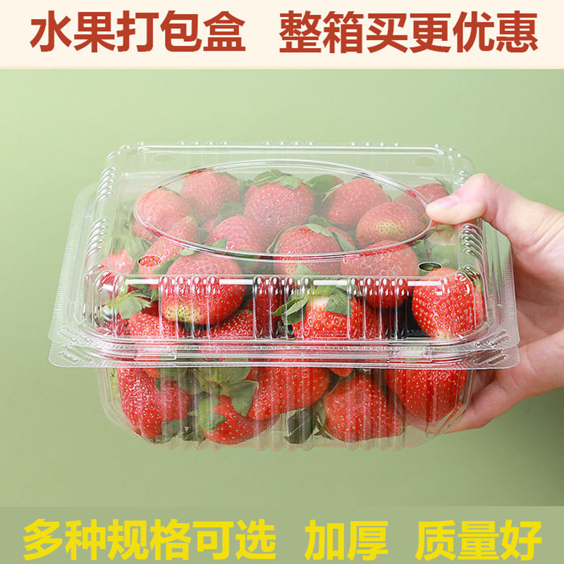 水果打包盒专用保鲜果蔬塑料透明带盖包装盒一次性水果盒加厚草莓