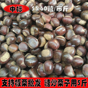 斤 60粒 2023年板栗生新鲜栗子带壳毛栗子5板粟油栗 5斤中标55