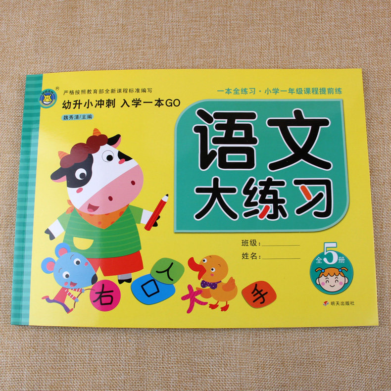 语文大练习练习册测试卷幼小衔接幼升小冲刺入学一本全练习 小学一年级课程提前练3-6岁幼儿园中班大班语言拼音练习本