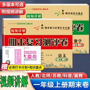 期末卷模拟复习测评卷真卷