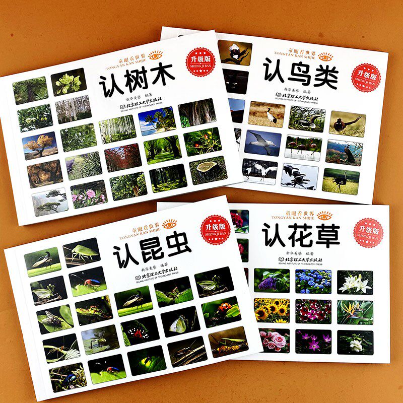 认识花草树木昆虫鸟类童眼看世界全套4册