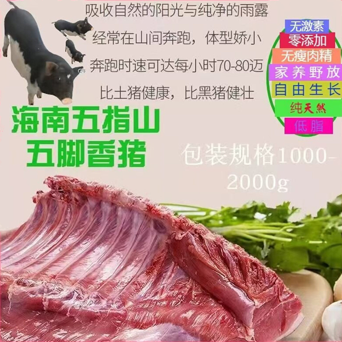 琼之春新鲜猪腿肉低脂黑猪土猪肉