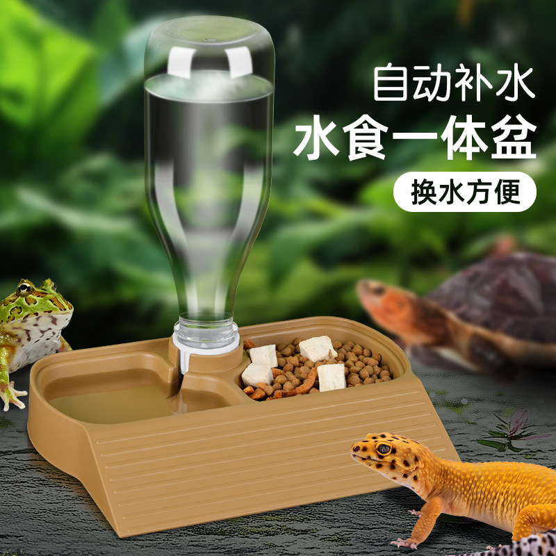 松鼠博士爬宠自动补水器水食一体盆蜥蜴乌龟蛇爬虫饮水器换水方便