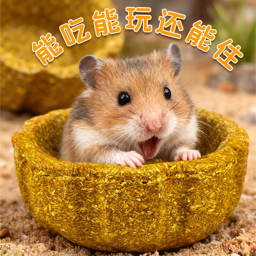 荷兰猪提摩西草用品零食