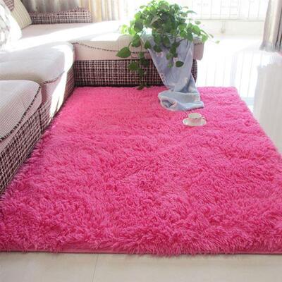 The Living room tea carpet floor mat bedroom full bed blanke