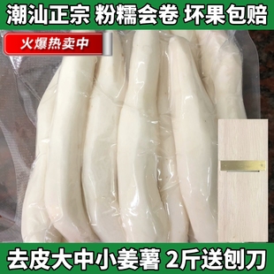 去皮大中小姜薯2斤送木刨刀 新鲜正宗姜茨 潮汕特产甜汤孕妇小吃