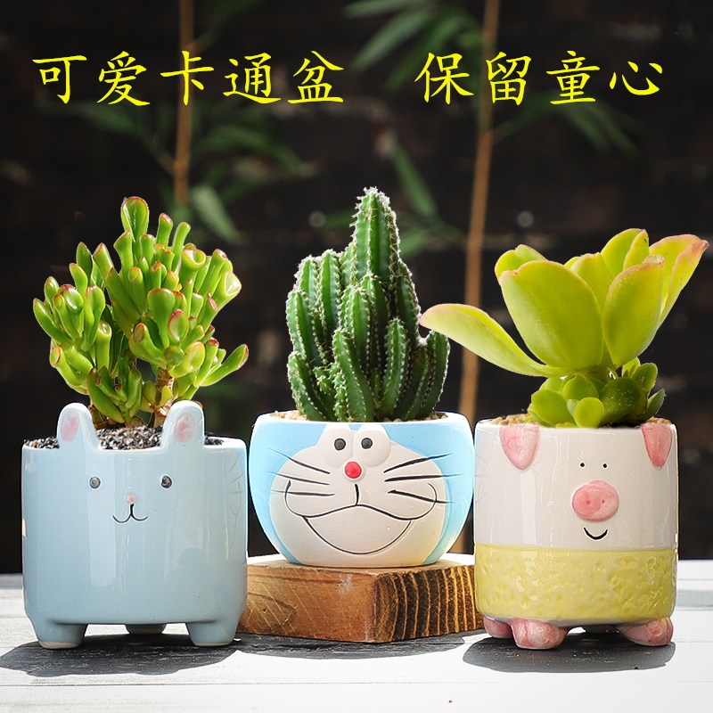 多肉花盆套装组合创意个性卡通肉肉植物小号陶瓷盆器包邮特价清仓