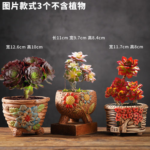 陶瓷花盆大口径粗陶透气简约多肉植物控根盆绿萝花盆特价清仓陶罐