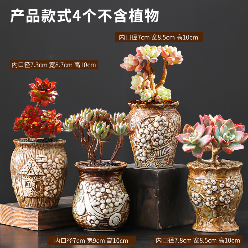 多肉陶罐花盆老桩植物