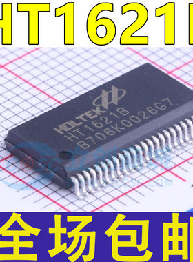 全新 HT1621B TM1621B  RAM映射 LCD驱动器芯片 贴片SSOP-48