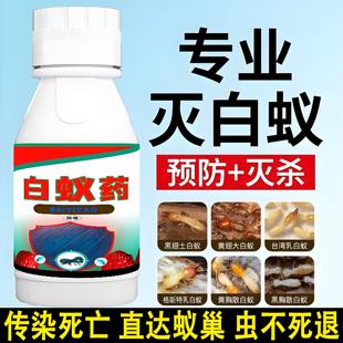 专业灭白蚁药水预防治家用除飞蚁白蚂蚁粉一巢灭全传染室内杀虫剂