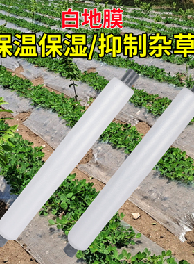 农用种植地膜防水60cm宽80公分宽专用的1.2米宽马铃薯塑料全新料.